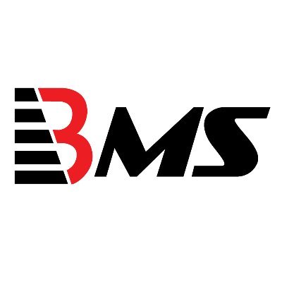 BMS Auditing