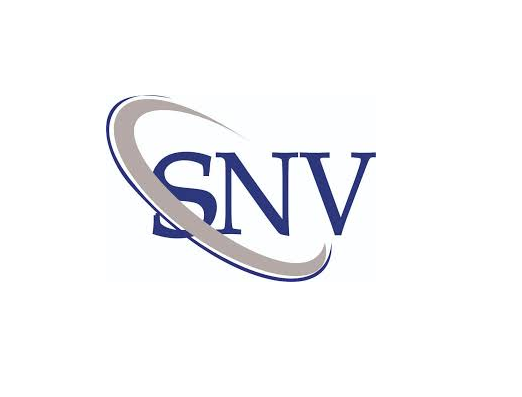 SNV Automobiles