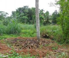 plot 23 cent for sale Thuruthikkara Tripunithura 2.80 L/cent, Mulanthuruthy - Image 2