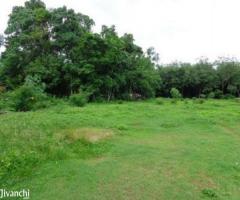 plot 66 cent for sale near Thuruthikkara Mulanthuruthy 3.25 L/ce - Image 1