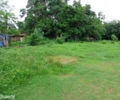 plot 66 cent for sale near Thuruthikkara Mulanthuruthy 3.25 L/ce - Image 2