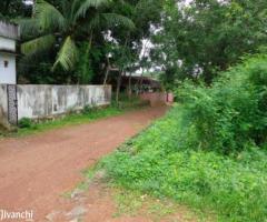 plot 66 cent for sale near Thuruthikkara Mulanthuruthy 3.25 L/ce - Image 4