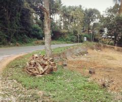 Nedumangad 75 cent road side plot for sale