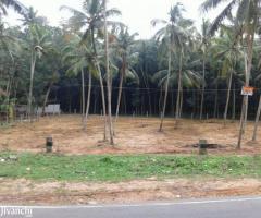 Nedumangad 75 cent road side plot for sale - Image 2