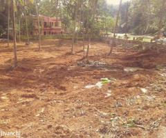 Nedumangad 75 cent road side plot for sale - Image 4