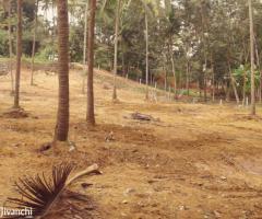 Nedumangad 75 cent road side plot for sale - Image 5