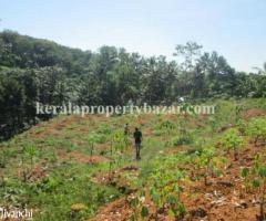 Land for sale at Anayara (KPS-5487), Thiruvananthapuram