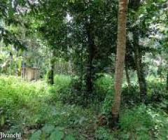 Plot 11 cent for sale near Nadakkavu Tripunithura 4.50 L/cent, Ernakulam