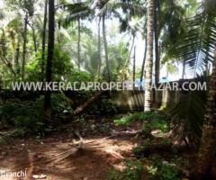 Land For Sale at Akkulam, Trivandrum (KPS 5250), Thiruvananthapuram - Image 2