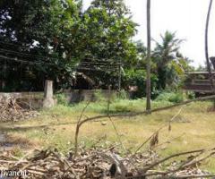 plot 12 cent for sale near Hill palace Tripunithura 10 L/cent, Ernakulam - Image 2