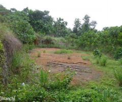 plot 10 cent for sale near Thuruthikkara Mulanthuruthy - Image 2