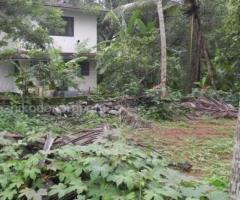4000 ft² – 9 Cents Excellent residential land at Pavangad,Kozhikode - Image 2