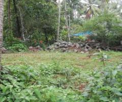 4000 ft² – 9 Cents Excellent residential land at Pavangad,Kozhikode - Image 3