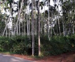 4 Cent residential land for sale at Badirur,Cherukulam,Kozhikode - Image 3