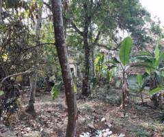 2600 ft² – 6 cents residential land for sale at Malaparamba,Calicut