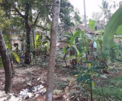 2600 ft² – 6 cents residential land for sale at Malaparamba,Calicut - Image 3