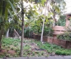 200 ft² – 5 cent land for sale at DevaswamBoard. - Image 2