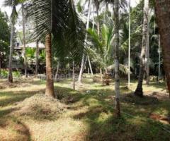 5 Cents residential land for sale at Atholi, Kozhikode .