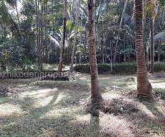 5 Cents residential land for sale at Atholi, Kozhikode . - Image 2