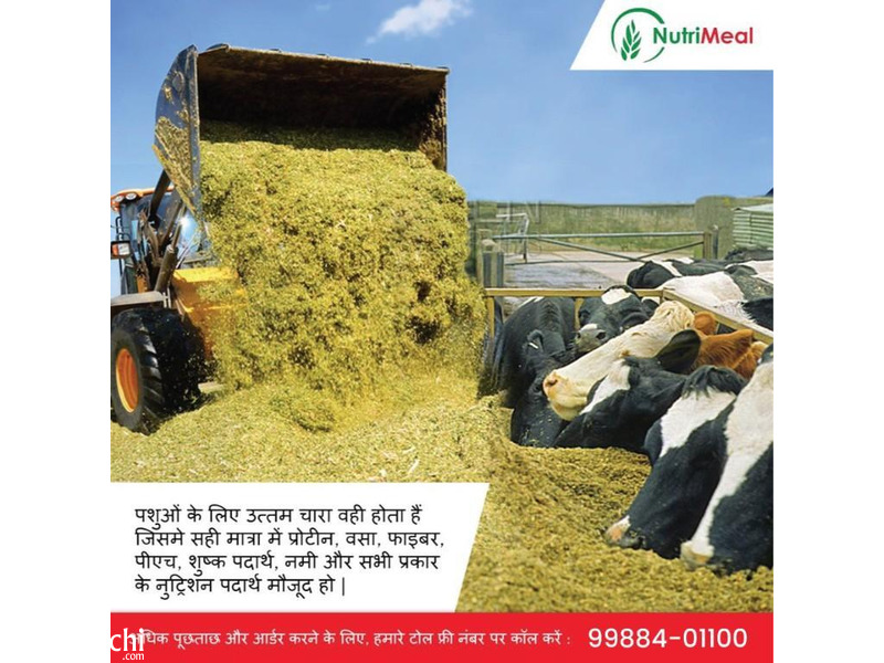 Silage for your Cows & Buffaloes - 1