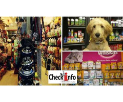 Pets Suppliers in Delhi - Image 3