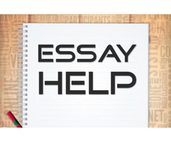 Urgent Essay Essay Help UK