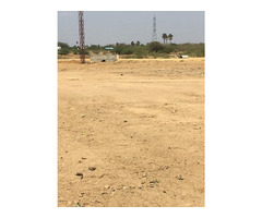 Land for sale - 43200 ft² - Image 2