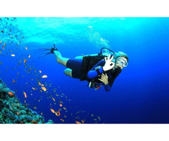Best Scuba Diving in Andaman Islands