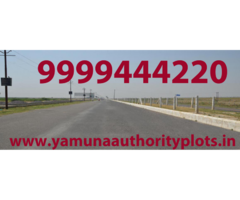 7% Abadi plots in Yamuna Expressway, Kisan Quota Plots - Image 3