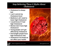 Causes Of High Cholesterol
