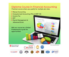Diploma in Financial Accounting Course