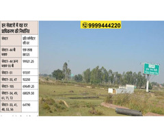 Yeida Residential Plots, Yeida Plots Latest News - Image 19