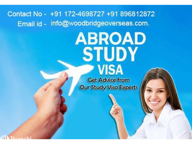 Overseas Education Consultant - Australian Immigration Consultants in Chandigarh - 1
