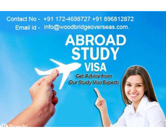 Overseas Education Consultant - Australian Immigration Consultants in Chandigarh