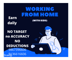 Work from home be your own boss online offline data entry