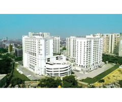 DLF Moti Nagar - 2 & 3 BHK New Launch Apartments for Sale - Image 5