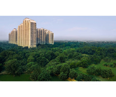 DLF Moti Nagar - 2 & 3 BHK New Launch Apartments for Sale - Image 11