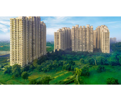 DLF Moti Nagar - 2 & 3 BHK New Launch Apartments for Sale - Image 12