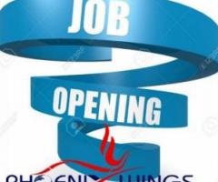 Need part time workers online offline jobs weekly salary