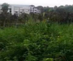 108900 ft² – 2.5 Acre Residential Land / Plot for sale in Andoorkonam