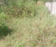 7840 ft² – 18 cent Residential Land / Plot for sale in Menamkulam