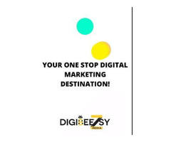 Digibeezsy Media - social media management - digital marketing company