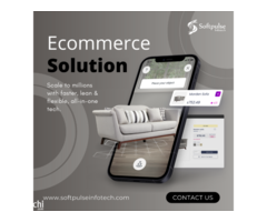 Hire Affordable Ecommerce Experts Softpulse Infotech- Free Quote