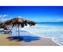 Best and Affordable Goa Honeymoon Package - Image 4