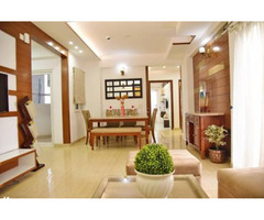 2 BHK To 4 BHK Flats For Rent In Noida - Image 2