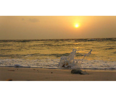 Andaman Tour Package | Plan Your Andaman Tour with Andaman Beach Paradise - Image 4
