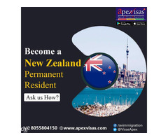 Great Opportunity to Move to New Zealand on PR visa
