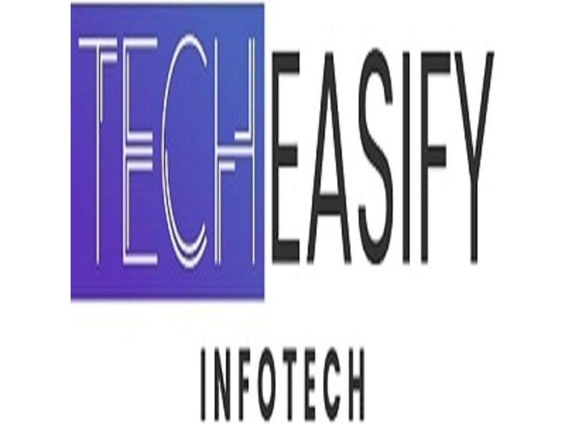 Facebook Ads Agency in Gujarat - TechEasify - 1