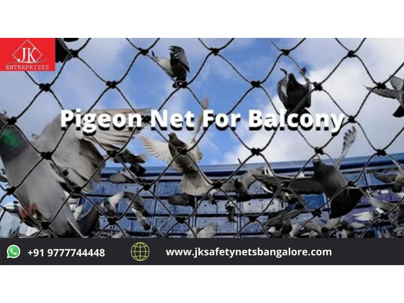 The Pigeon Safety Nets in Bangalore - 1