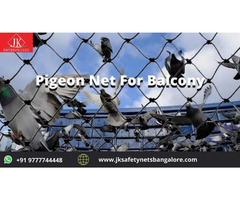 The Pigeon Safety Nets in Bangalore
